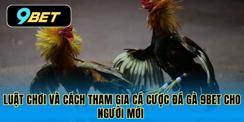 Luật chơi và cách tham gia cá cược đá gà 9Bet cho người mới