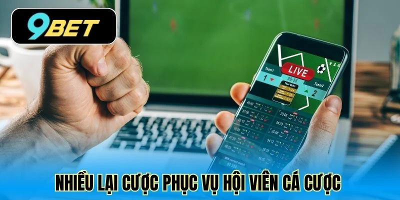 Nhiều lại cược phục vụ hội viên cá cược